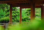 D200 chilin_17