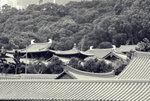 D200 chilin_19b
