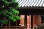 D200 chilin_5