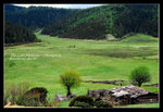 Shangrila 49