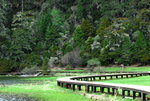 Shangrila 61