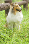 image0001