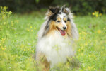 image0002