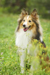 image0003