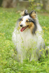 image0004