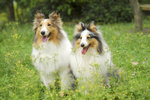 image0005