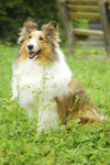 image0007