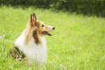 image0010