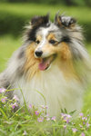 image0011