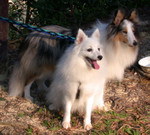 DSCN0994b