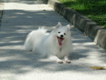 DSCN1951