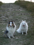 DSCN2086
