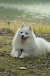 Image0002