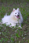 Image0008
