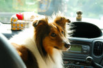 image0002