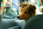 image0003