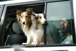 image0005