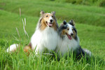 image0006