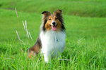 image0008