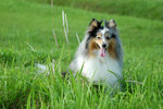 image0009