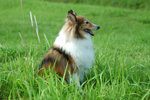image0011
