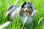 image0019