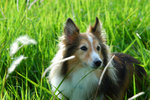 image0022