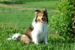 image0024