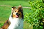 image0025