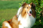 image0028