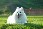 image0029
