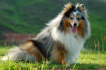 image0032