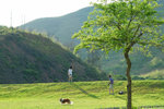 image0041