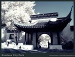 IMG_0679b