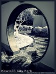 IMG_0686b