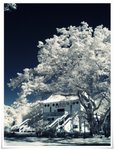 IMG_4047c