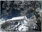 IMG_4048c