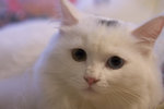 image0005