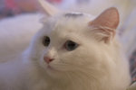 image0007