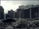 IMG_5095