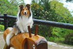 image0003