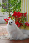 image0006