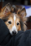 image0007