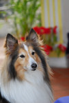 image0008
