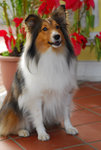 image0009