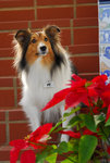 image0010
