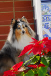 image0013