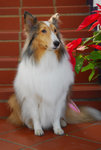 image0016