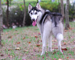 sesame07