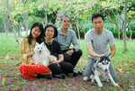 sesame10
